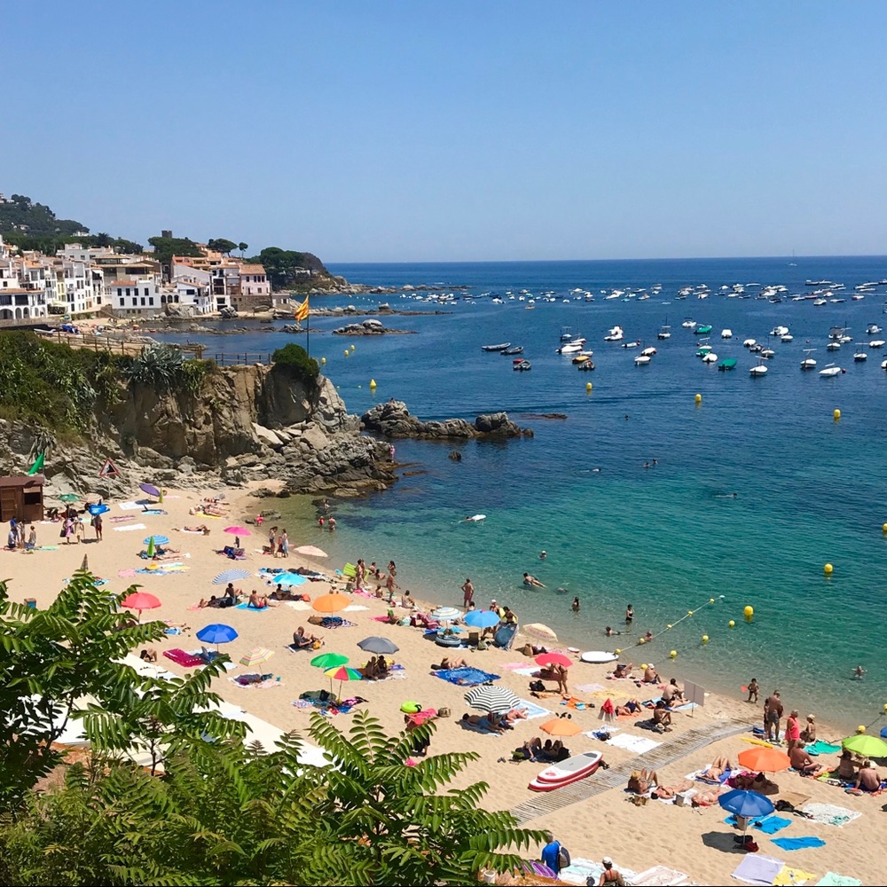 Meet your Posher, Simone